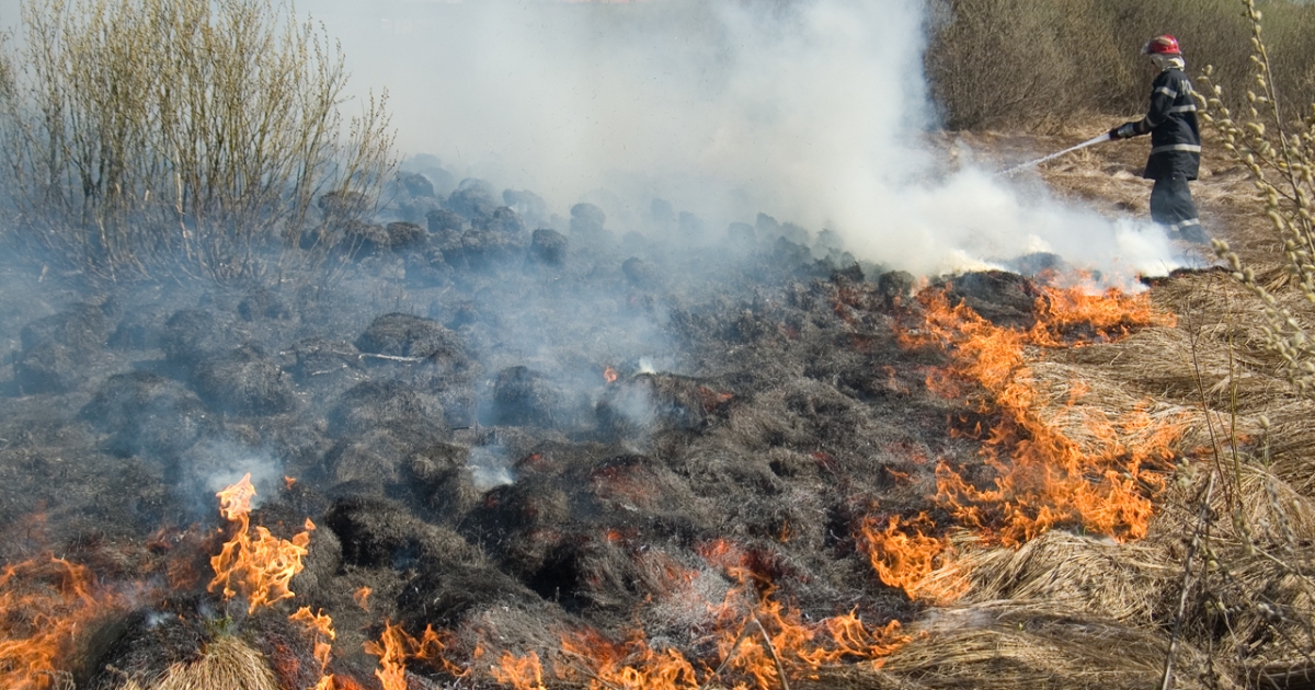 Nagy kiterjedésű tűz Csíkszereda határában